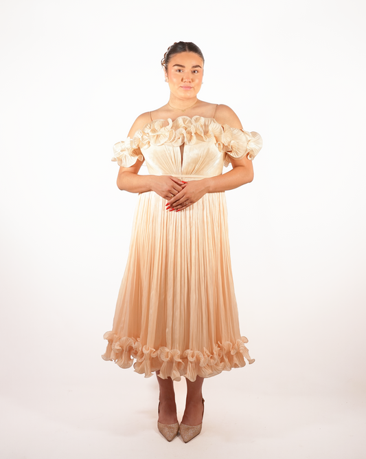 Emmy Ivory Floral Corset Dress